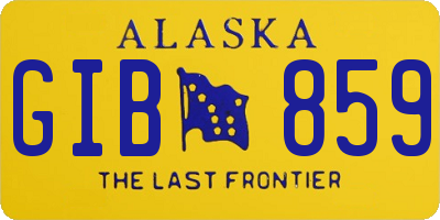 AK license plate GIB859
