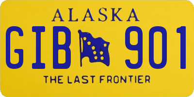 AK license plate GIB901