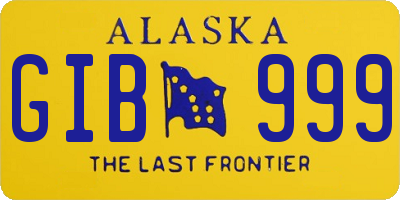 AK license plate GIB999
