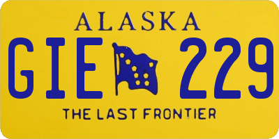 AK license plate GIE229