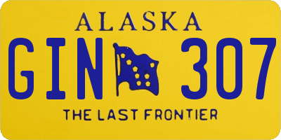 AK license plate GIN307