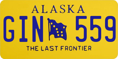 AK license plate GIN559