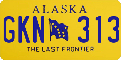AK license plate GKN313