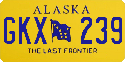 AK license plate GKX239