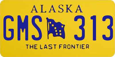 AK license plate GMS313