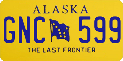 AK license plate GNC599
