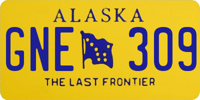 AK license plate GNE309