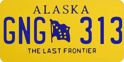AK license plate GNG313