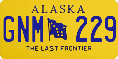 AK license plate GNM229