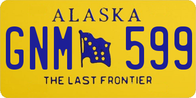 AK license plate GNM599