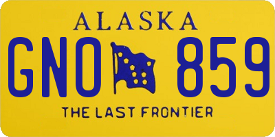 AK license plate GNO859