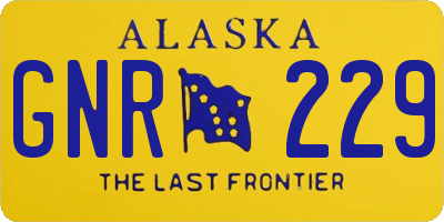 AK license plate GNR229