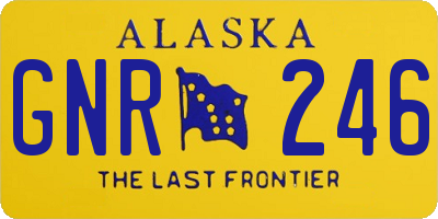 AK license plate GNR246