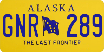 AK license plate GNR289