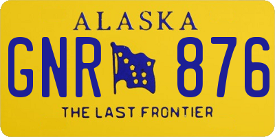 AK license plate GNR876