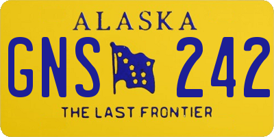 AK license plate GNS242