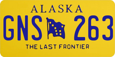 AK license plate GNS263