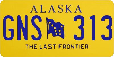 AK license plate GNS313