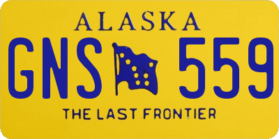 AK license plate GNS559