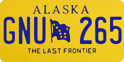AK license plate GNU265
