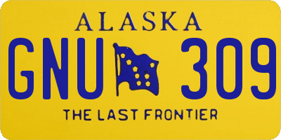 AK license plate GNU309