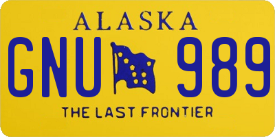 AK license plate GNU989