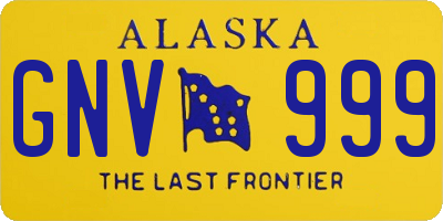 AK license plate GNV999