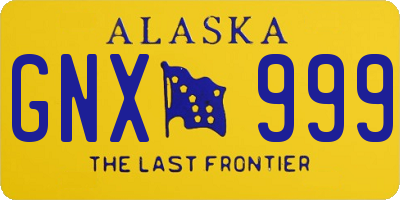 AK license plate GNX999