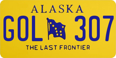 AK license plate GOL307