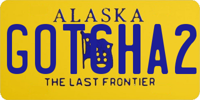 AK license plate GOTCHA2