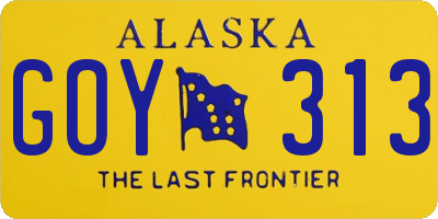 AK license plate GOY313
