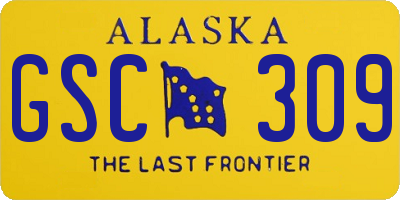 AK license plate GSC309