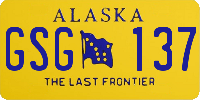 AK license plate GSG137