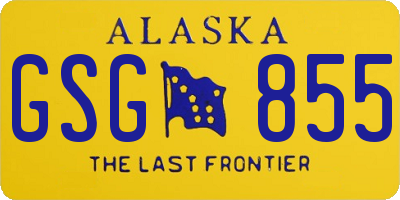 AK license plate GSG855
