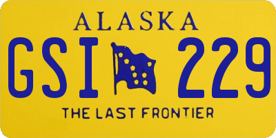 AK license plate GSI229