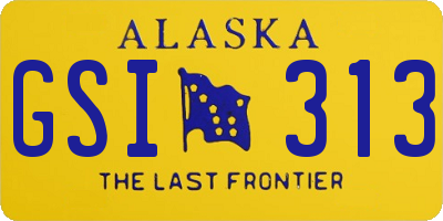 AK license plate GSI313