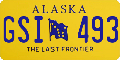 AK license plate GSI493