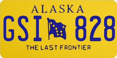 AK license plate GSI828