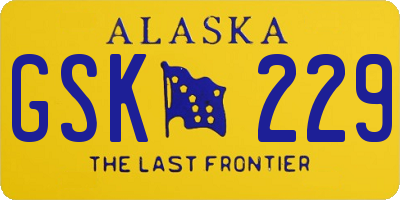 AK license plate GSK229