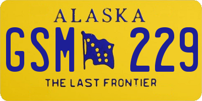 AK license plate GSM229