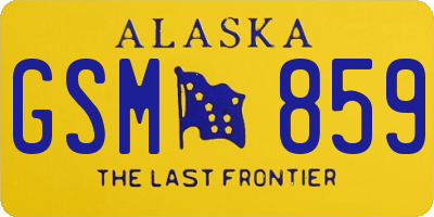 AK license plate GSM859