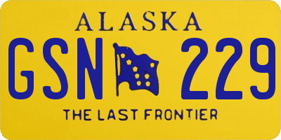 AK license plate GSN229