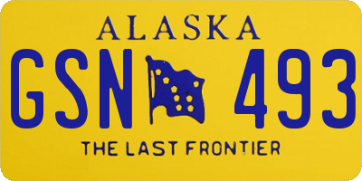 AK license plate GSN493