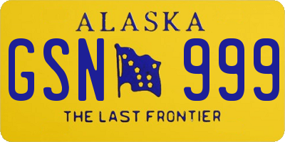 AK license plate GSN999