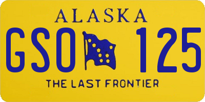 AK license plate GSO125