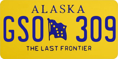 AK license plate GSO309