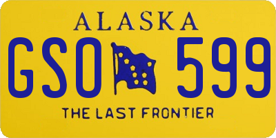 AK license plate GSO599