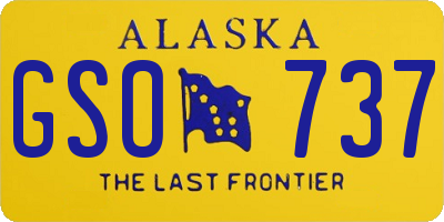 AK license plate GSO737