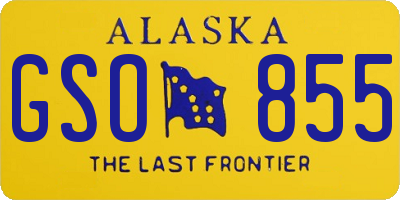 AK license plate GSO855