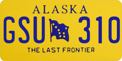 AK license plate GSU310